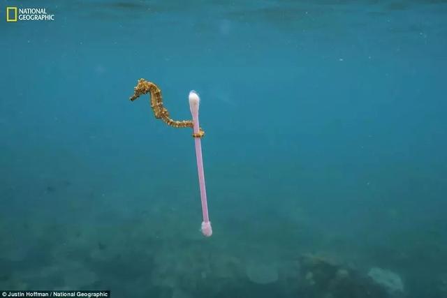 《國(guó)家地理》聚焦 “塑料星球”,人類(lèi)之殤！