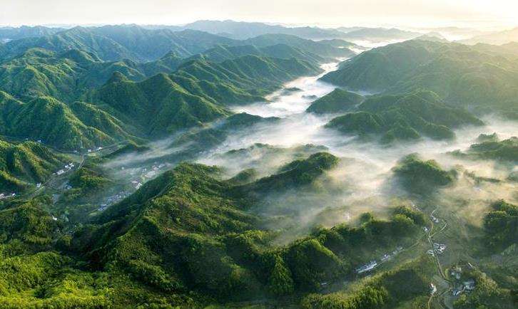 落實垃圾分類,依托科技創(chuàng)新,實現(xiàn)綠色發(fā)展